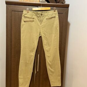 Olive  Skinny Pants with Zipper Details